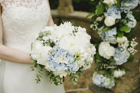 Hydrangea Heaven