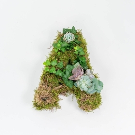 Moss and Succulent Funeral Letter
