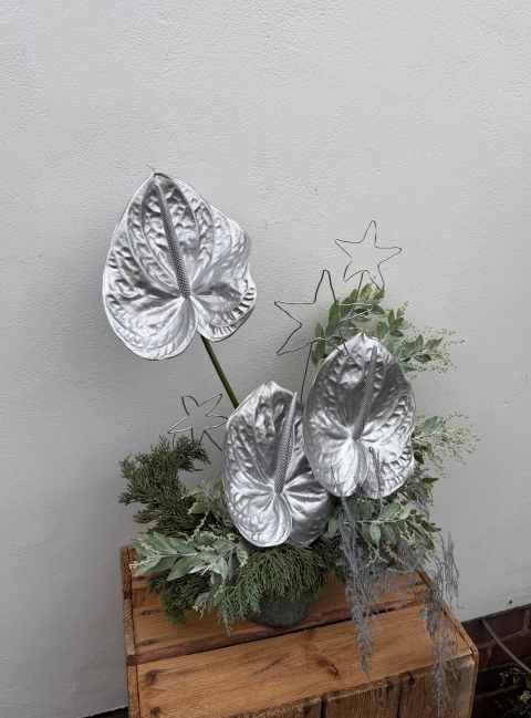 Modern White Arrangement