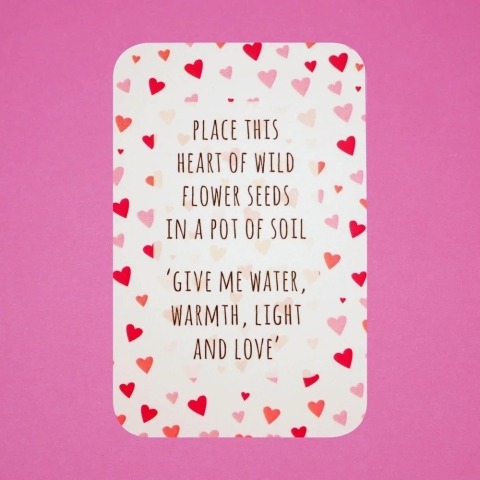 Small Plantable Happy Valentine's Day Card